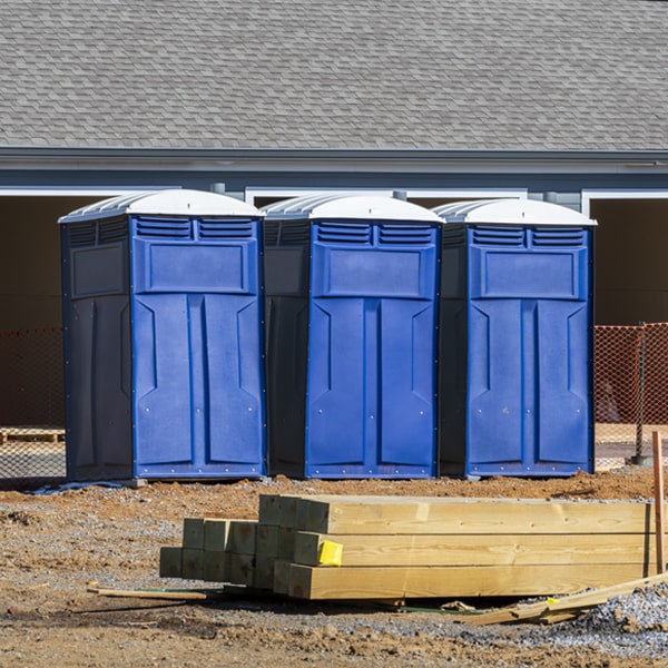 how often are the porta potties cleaned and serviced during a rental period in Newbern